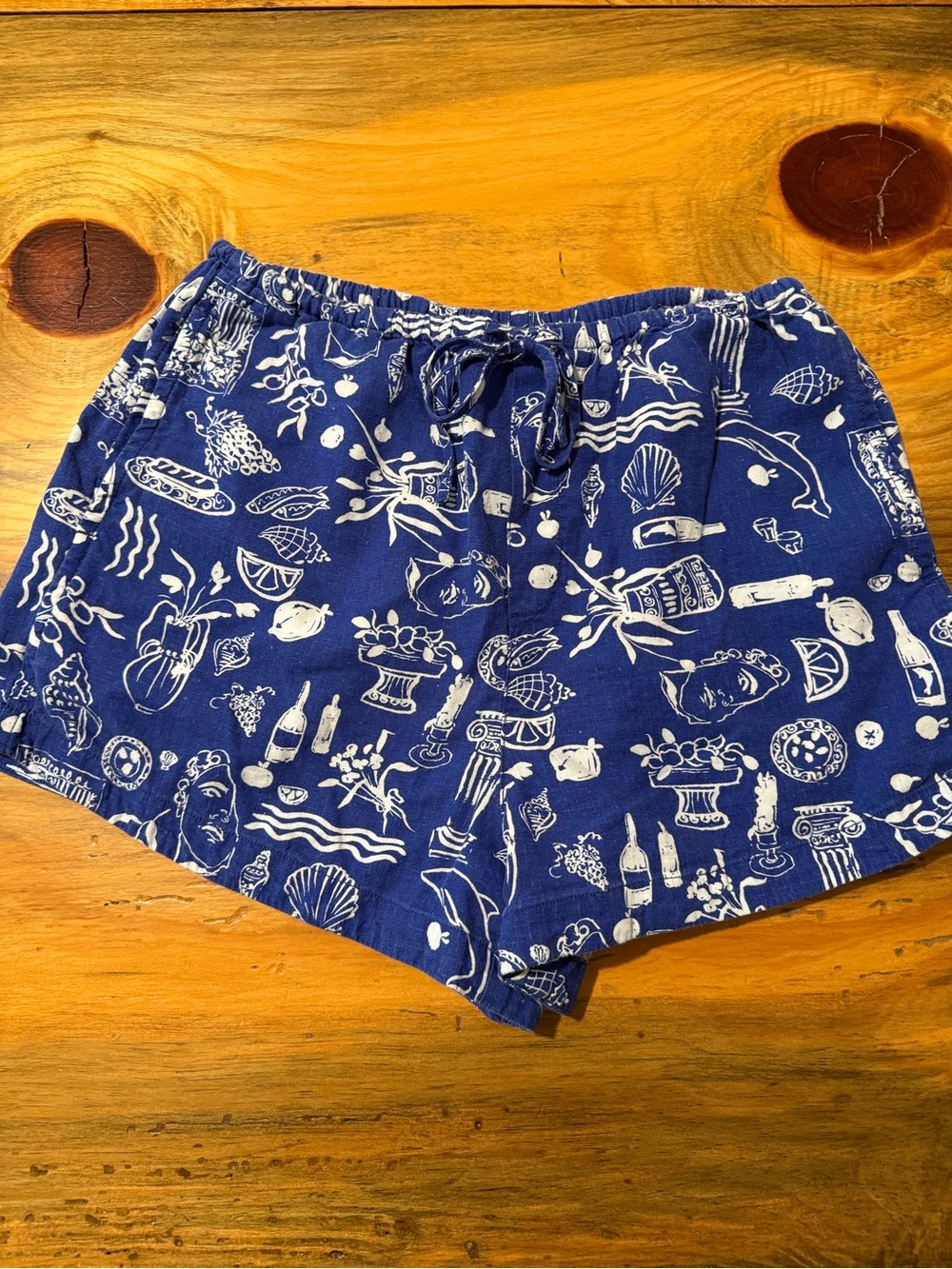 Madewell x Lisa Says Gah Blue & White Drawstring Shorts